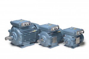 IEC 70021528 110HP Motor 